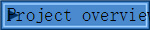 Project overview